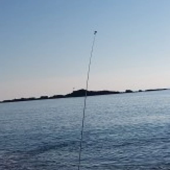 Kuzey kullanıcısının profil fotoğrafı