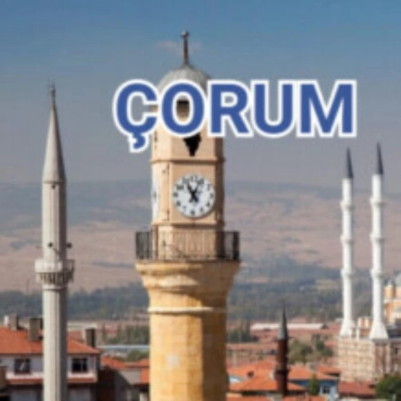 YCL kullanıcısının profil fotoğrafı