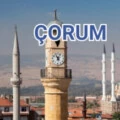 YCL kullanıcısının profil fotoğrafı