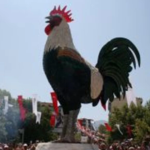 rcp20.denizli kullanıcısının profil fotoğrafı