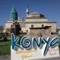 Yinyang kullanıcısının profil fotoğrafı