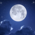 Moon kullanıcısının profil fotoğrafı