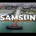 kanarya 44 kullanıcısının profil fotoğrafı