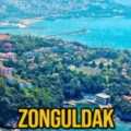 Yosef6798 kullanıcısının profil fotoğrafı