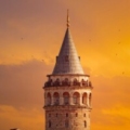 kasr kullanıcısının profil fotoğrafı