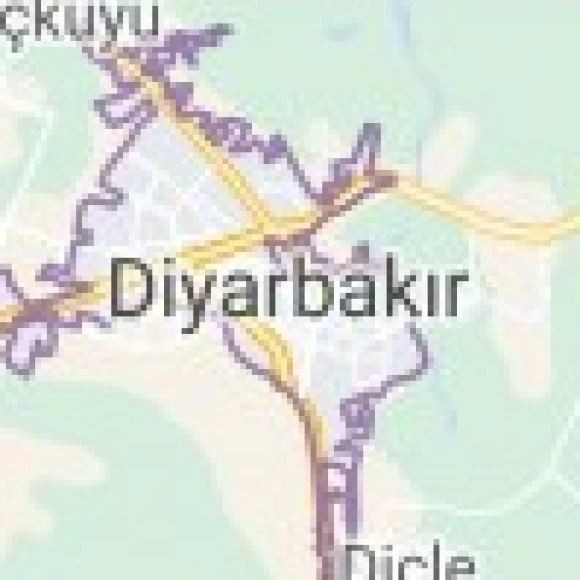 Mert kullanıcısının profil fotoğrafı