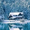 Furkanx kullanıcısının profil fotoğrafı